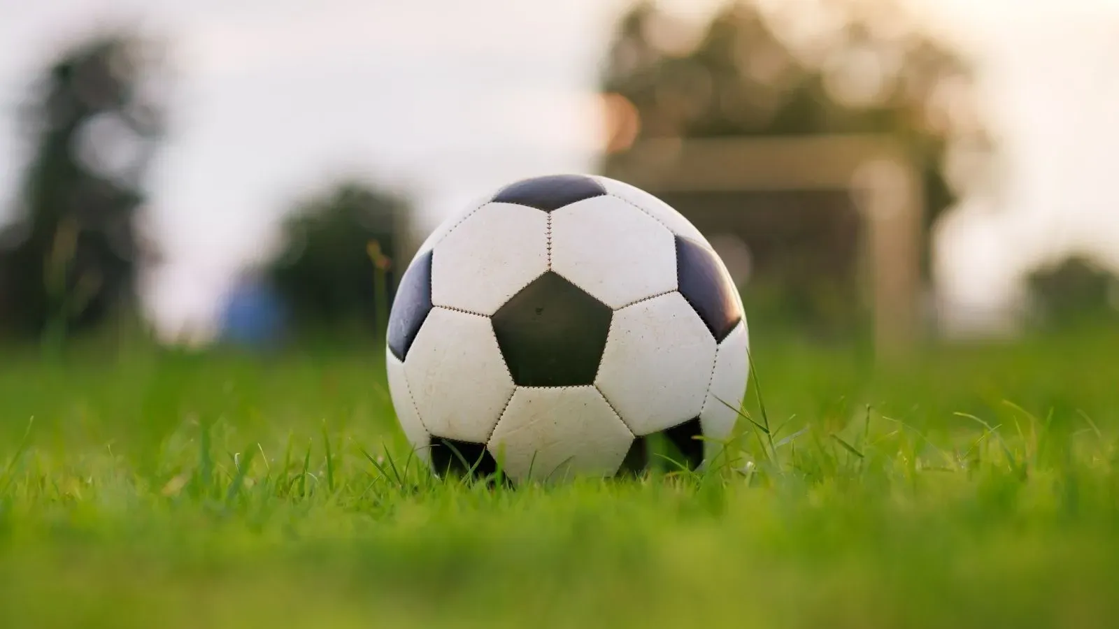 Neighborhood Kids Kept Kicking Soccer Balls at His House — So He Bought Them an Actual Goal