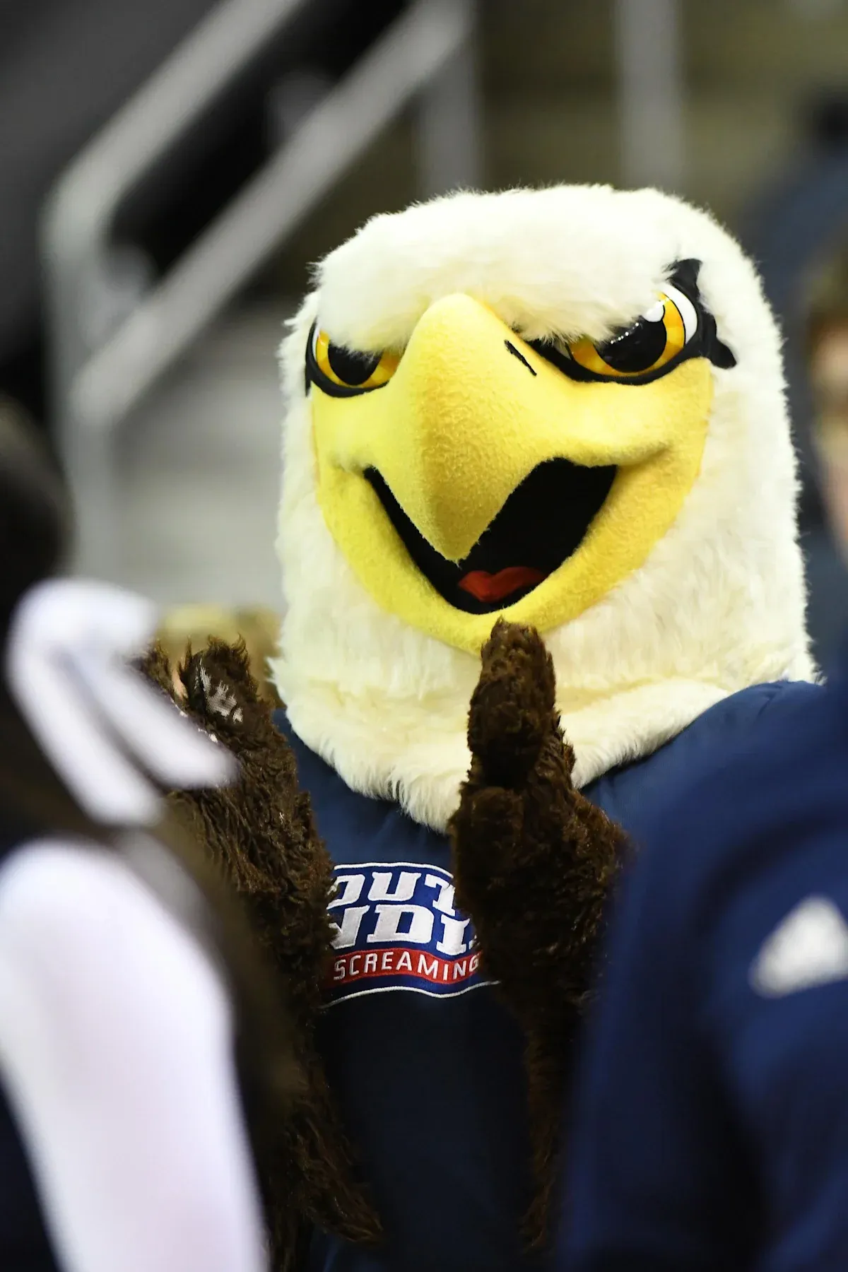 Marquette Men’s Soccer Preview: vs St. Thomas & vs Southern Indiana