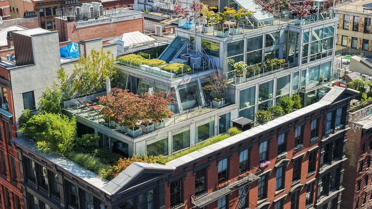 Inside soccer legend Thierry Henry's astonishing $25M NYC penthouse... including the grill to end all grills