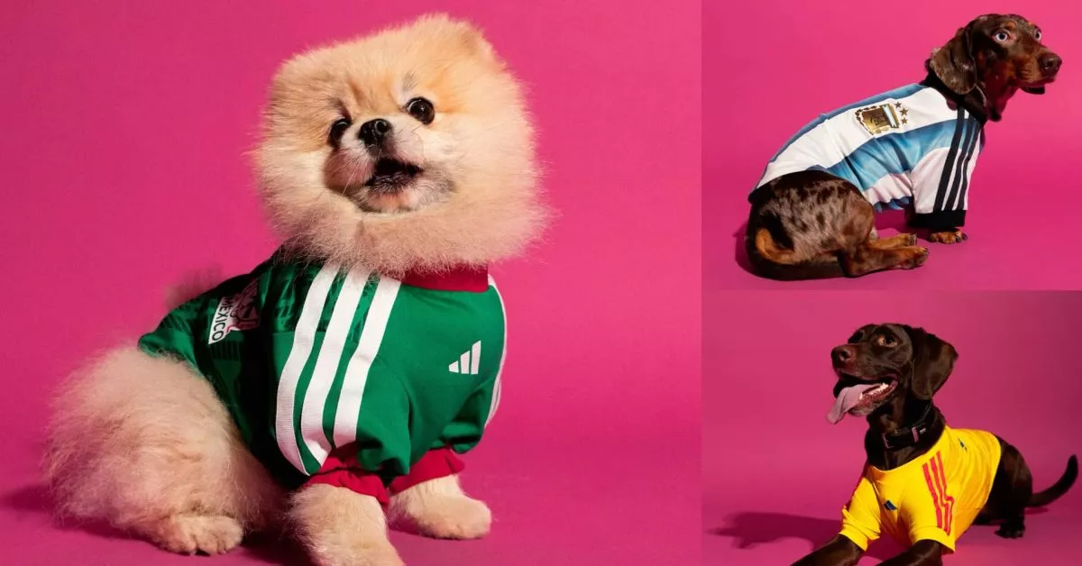 adidas launches new FIFA World Cup 26 Pet Collection from $35