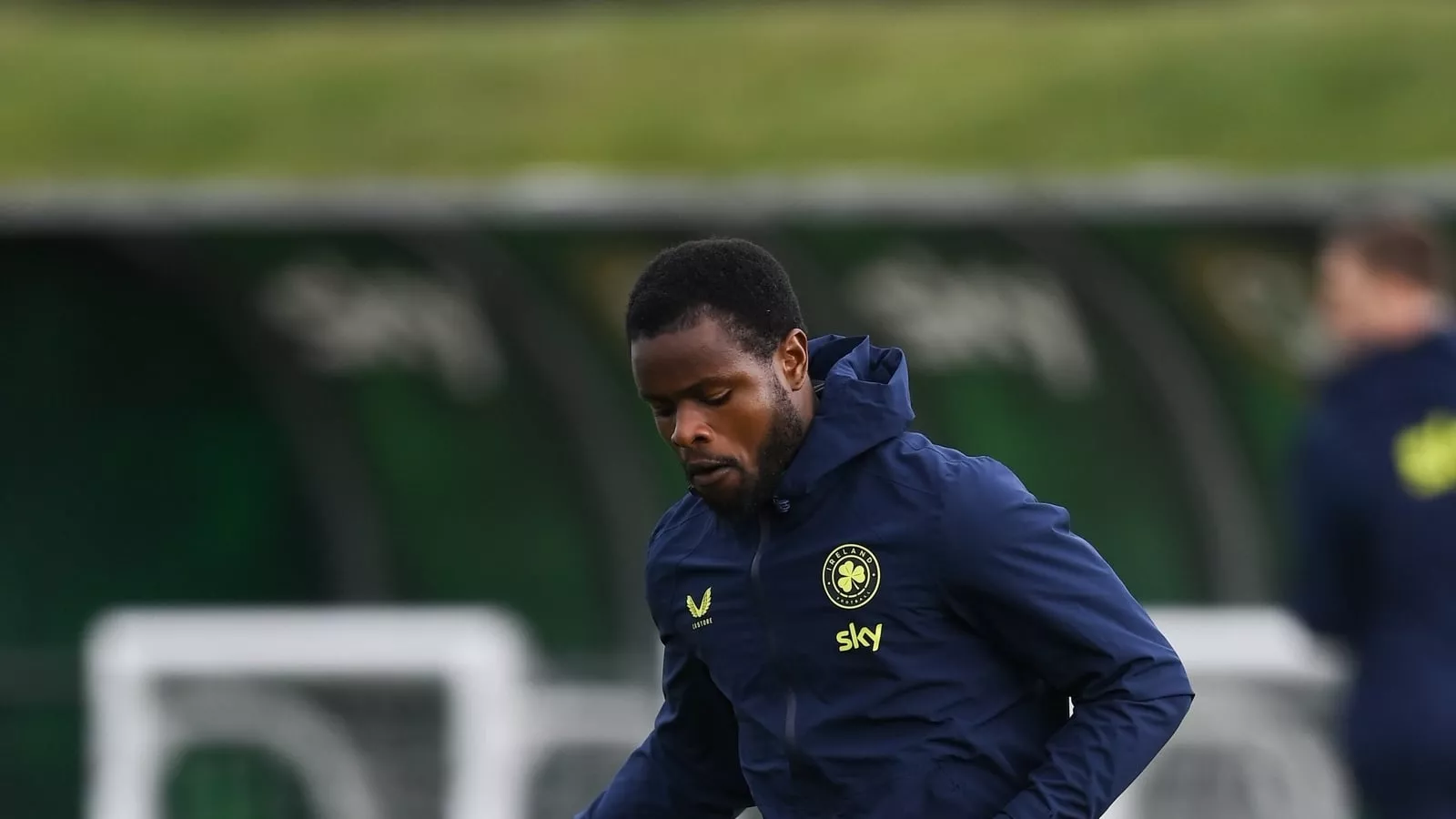 Late-bloomer Alli offers Ireland 'different perspective'